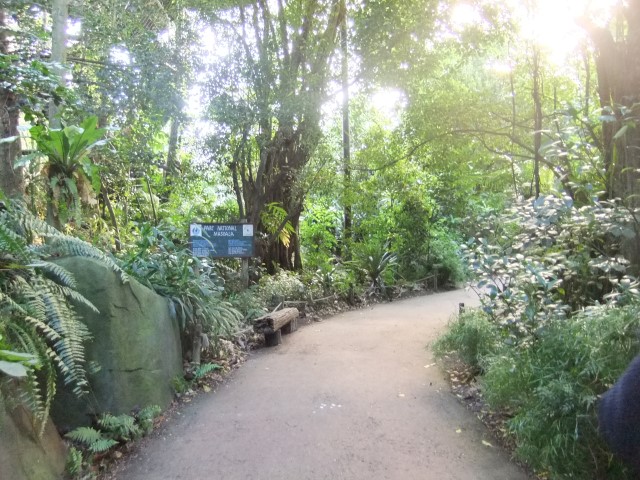 Der Eingang zum Regenwald