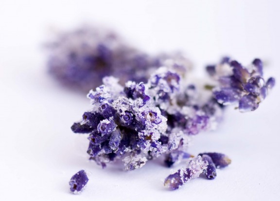 Lavendel 