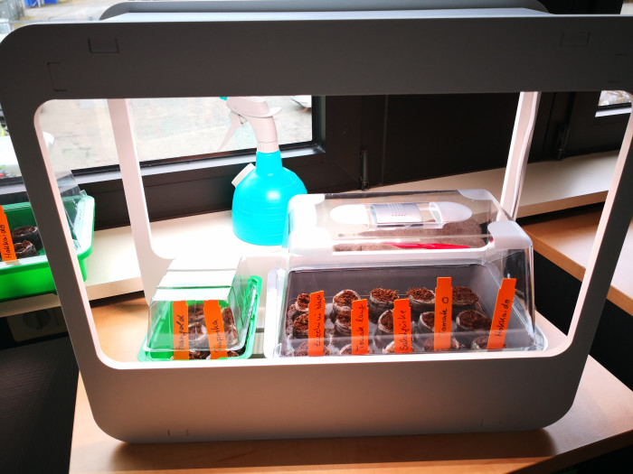 Home Garden gleich Office Garden