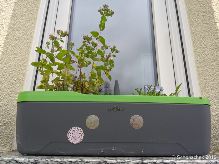 City Gardening Gärtnern auf kleinstem Raum