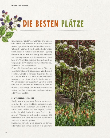 Buchtipp: Mein Kleiner Obstbaum, Kosmos Verlag - Standort