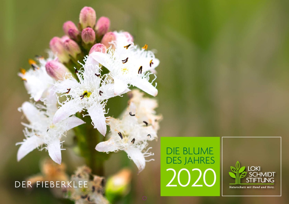 Loki Schmidt Stiftung: Kalender Blume des Jahres 2020